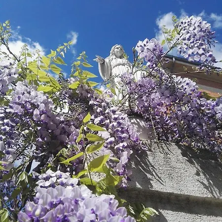 بيت ضيافة Sacro Cuore