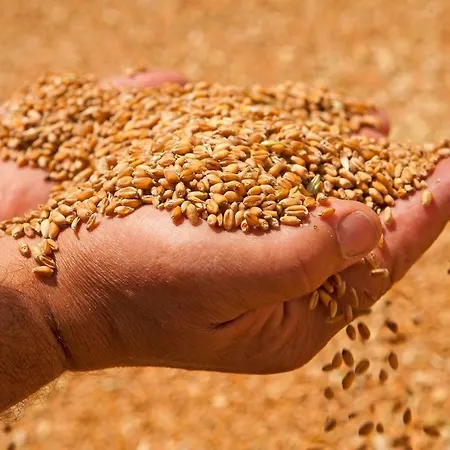 بيت ضيافة Sacro Cuore