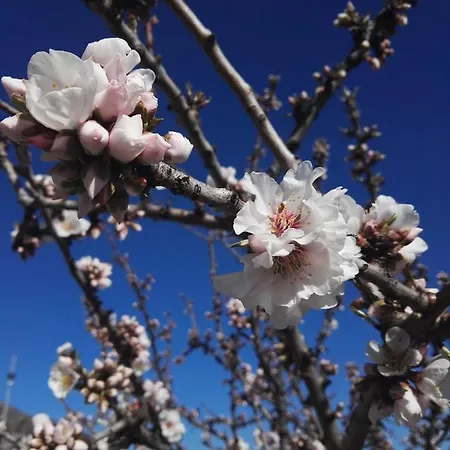 Gasthof Sacro Cuore 3*