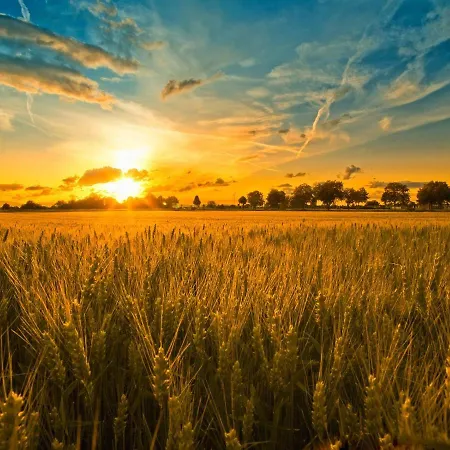 Sacro Cuore 게스트하우스