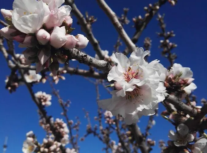 Casa de hóspedes Sacro Cuore 3*